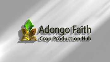 adongokush.gnomio.com