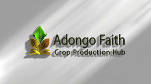 ADONGO FAITH